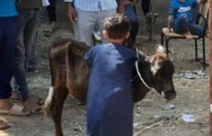 «حياة كريمة»بيطري كفر الشيخ تنظم قافلة بيطرية مجانية بقرية أبوريا بالرياض