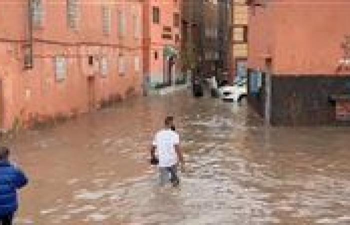 سيول مدمرة تضرب المغرب والجزائر وسقوط عشرات القتلى والمفقودين|فيديو