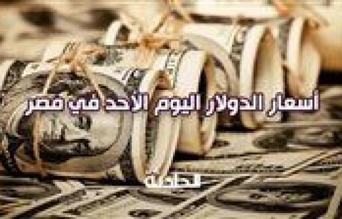 استقرار سعر الدولار اليوم الأحد في مصر أمام الجنيه