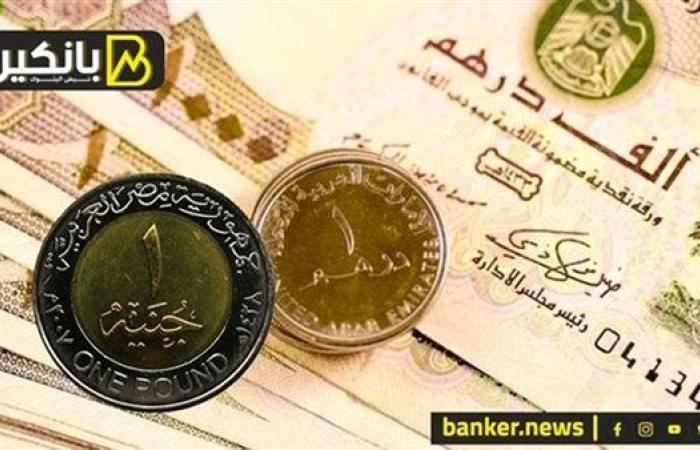 سعر الدرهم الإماراتي أمام الجنيه المصري في تعاملات اليوم الإثنين 9-9-2024