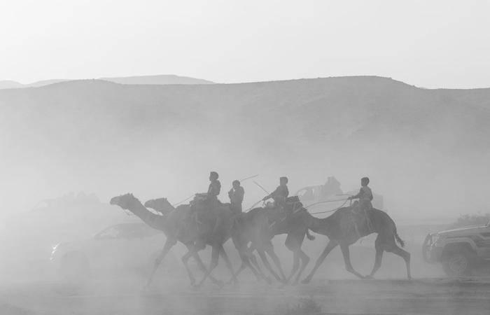 بالبلدي: مصور مصري يوثق الأجواء الحماسية لسباق الإبل في صحراء سيناء