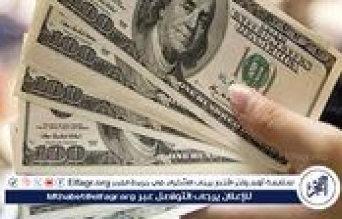 بالبلدي: عاجل - أول تحرك رسمي لـ سعر الدولار اليوم مقابل الجنيه في 10 بنوك بعد قرار تثبيت أسعار الفائدة