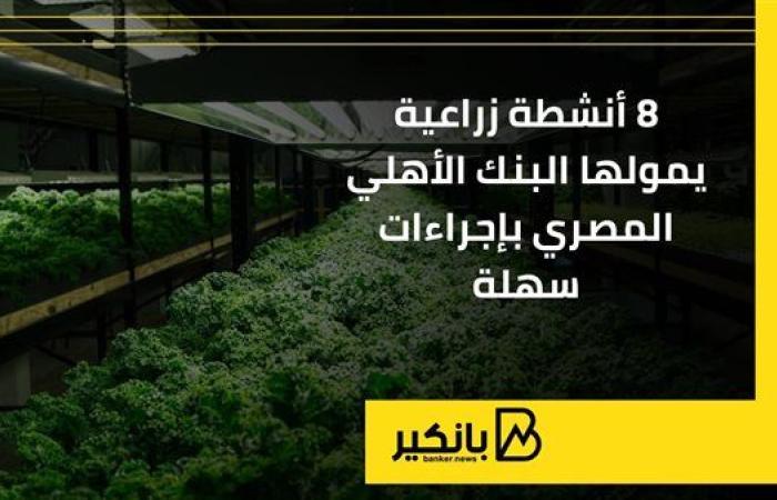 8 أنشطة زراعية يمولها البنك الأهلي المصري بإجراءات سهلة