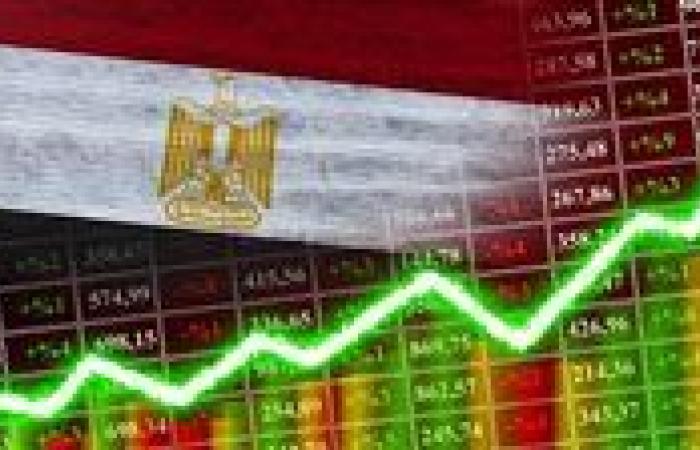 المالية المصرية: قيمة المشاريع الجاهزة للمشاركة مع القطاع الخاص تتراوح بين 8 و9 مليارات دولار