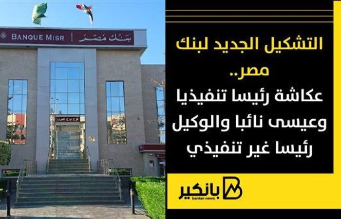 التشكيل الجديد لبنك مصر.. عكاشة رئيسا تنفيذيا وعيسى نائبا والوكيل رئيسا غير تنفيذي