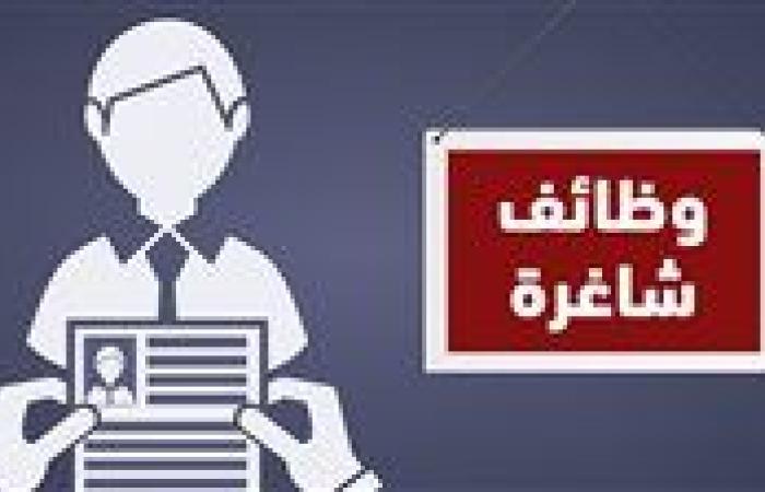 950 فرصة عمل لشباب القاهرة بالتعاون مع مبادرة بداية.. اعرف التخصصات المطلوبة