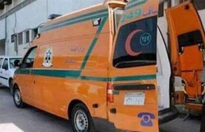 بالبلدي: إصابة زوجة بـ 21 طعنة على يد نجل زوجها بالإسماعيلية