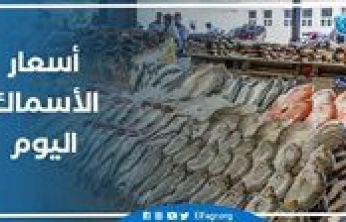 أسعار السمك اليوم السبت 21-9-2024     في محافظة قنا