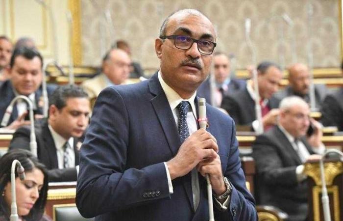 برلماني: الجميع متضرر من قانون الإيجار القديم سواء الملاك أو المستأجرين لهذا السبب