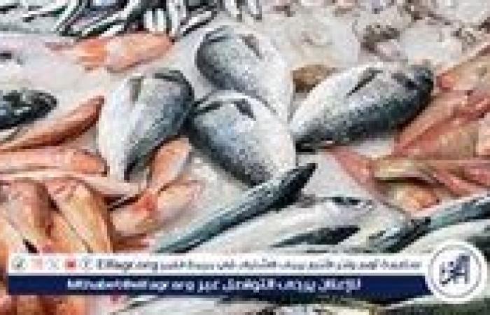 بالبلدي: أسعار السمك البلطي والبوري اليوم الاثنين 23-9-2024 في محافظة قنا