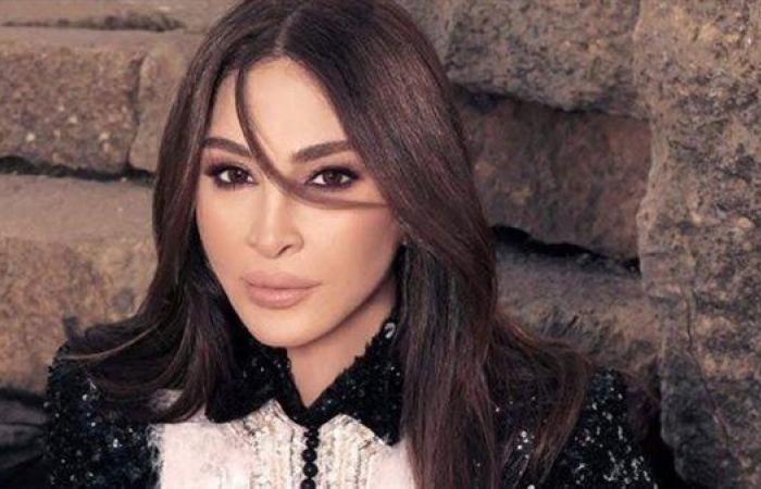 إليسا: تطبيق القرارات الدولية قادرة على حماية لبنان