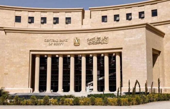 البنك المركزي: أكبر 5 بنوك تستحوذ على 64.7% من صافي أرباح القطاع بنهاية يونيو 2024