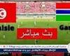 شاهد بالبث المباشر منتخب تونس اليوم.. مشاهدة تونس × جامبيا Tunisia vs Gambia بث مباشر دون "تشفير" | كأس الأمم الأفريقية 2025