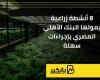 8 أنشطة زراعية يمولها البنك الأهلي المصري بإجراءات سهلة