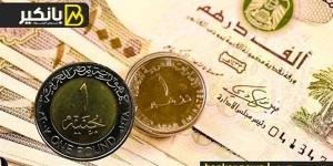 سعر الدرهم الإماراتي أمام الجنيه المصري في تعاملات اليوم الأحد 8-9-2024